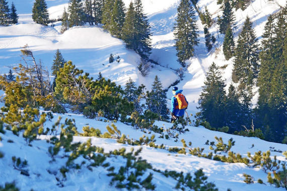 Skifahrer im Latschenfeld  Foto: Johannes Almer