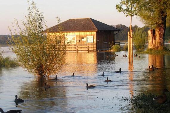 Die Hütte an der Prienmündung im Hochwasser  Foto: Günther Freund