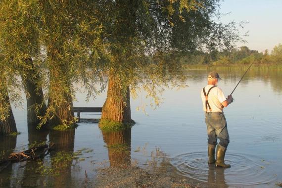 Hochwasser-Angler  Foto: Günther Freund