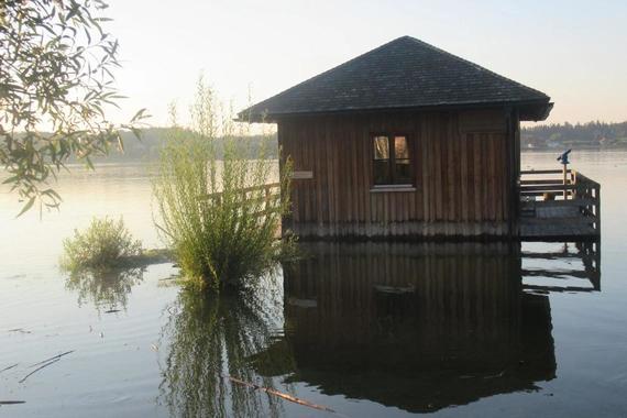 Die Hütte im Hochwasser  Foto: Günther Freund