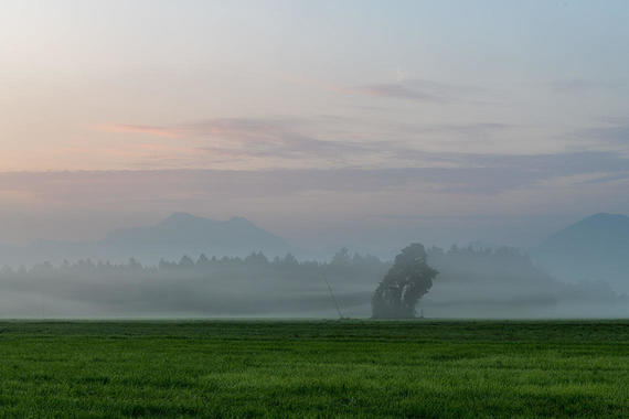 Früh am Morgen  Foto: Thomas Alberer