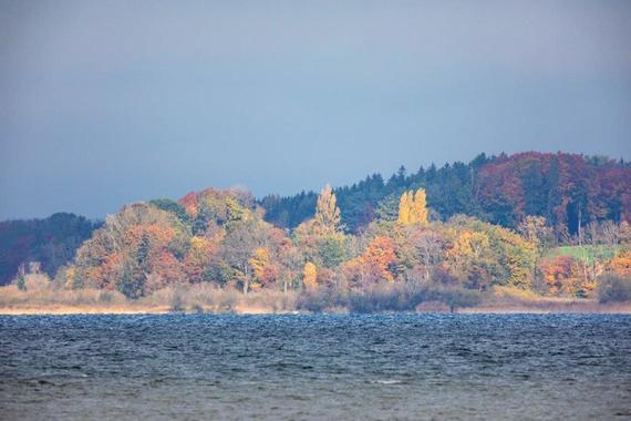 Herbstfarben in der Hirschauer Bucht  Foto: Andreas Hartl