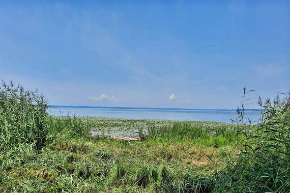 Sichtachse auf den See nach dem Freischnitt  Foto: Dirk Alfermann