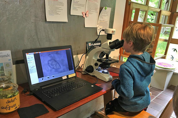 Junger Naturforscher am neuen Mikroskop  Foto: Alexandra Nawroth