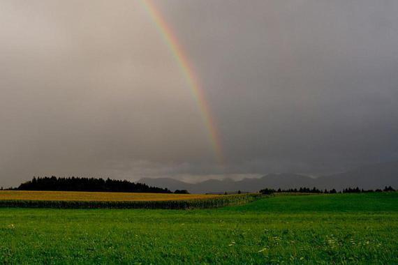 Foto: Michael Manitz - Regenbogen bei Oberhochstätt - rechter Teil