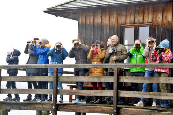 gemeinsame Vogelbeobachtung für das Pressefoto Foto: Rosemarie Ammelburger