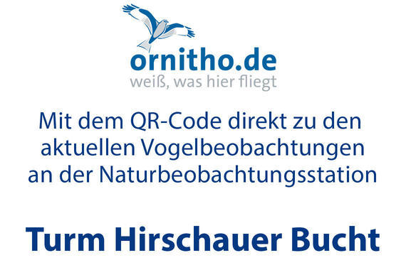 Vogelbeobachtungen an der Naturbeobachtungsstation 'Turm Hirschauer Bucht'