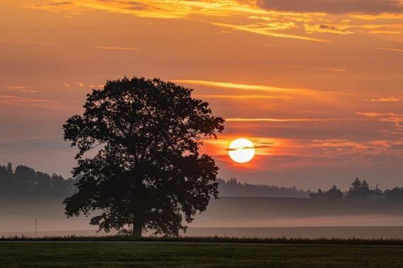 Sonnenuntergang bei Seebruck   Foto: Andreas Hartl