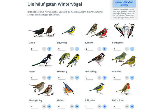 häufigste Wintervögel  Grafik: LBV